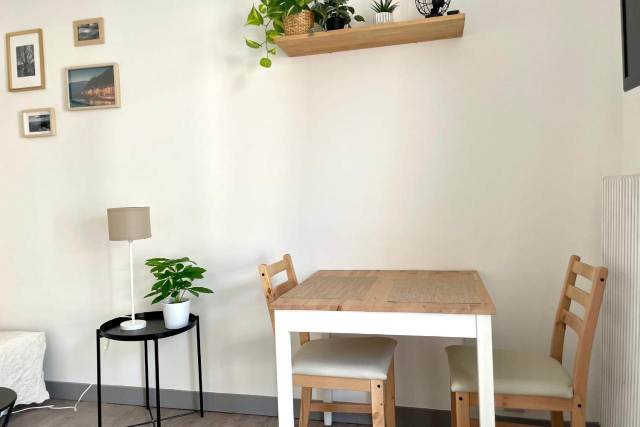 #Dd L'Ecrin Studio Ile Verte Balcony Grenoble Eksteriør bilde