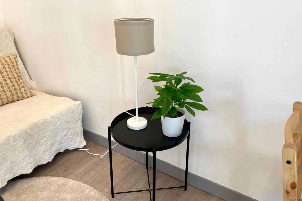 #Dd L'Ecrin Studio Ile Verte Balcony Grenoble Eksteriør bilde